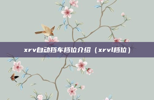 xrv自动挡车档位介绍（xrvl档位）