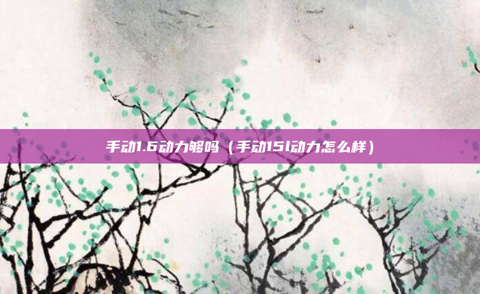 手动1.6动力够吗（手动15l动力怎么样）