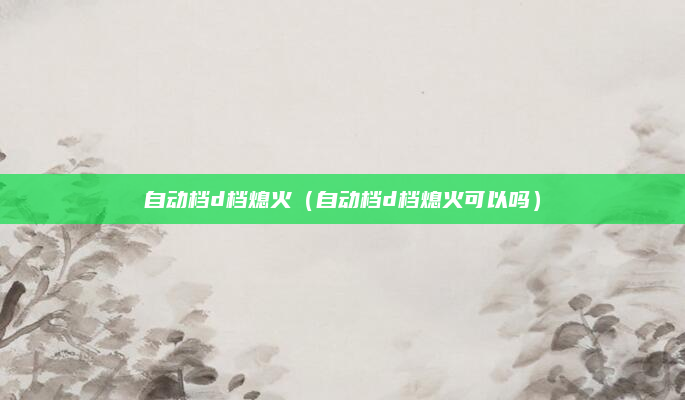 自动档d档熄火（自动档d档熄火可以吗）