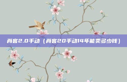 肖客2.0手动（肖客20手动14年能卖多少钱）