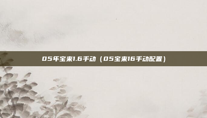05年宝来1.6手动（05宝来16手动配置）