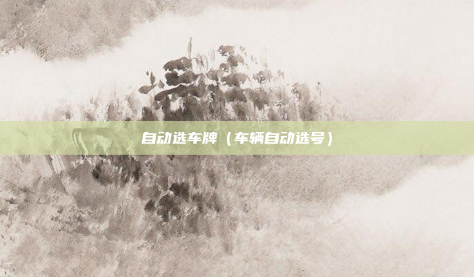 自动选车牌（车辆自动选号）