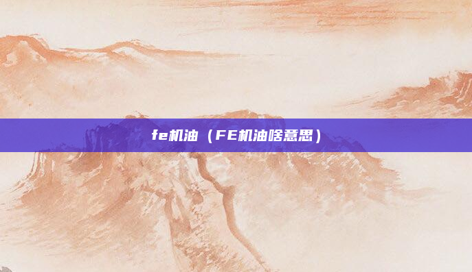 fe机油（FE机油啥意思）