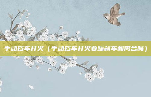 手动挡车打火（手动挡车打火要踩刹车和离合吗）