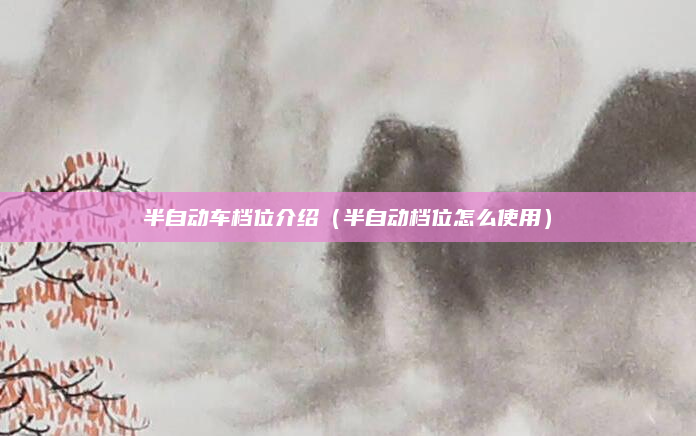 半自动车档位介绍（半自动档位怎么使用）