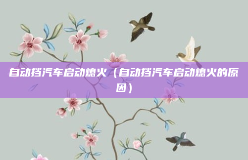 自动挡汽车启动熄火（自动挡汽车启动熄火的原因）