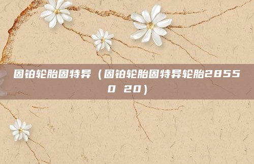 固铂轮胎固特异（固铂轮胎固特异轮胎28550 20）