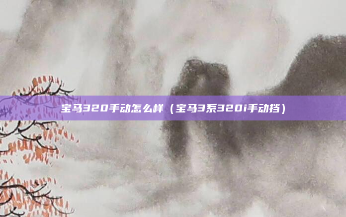 宝马320手动怎么样（宝马3系320i手动挡）