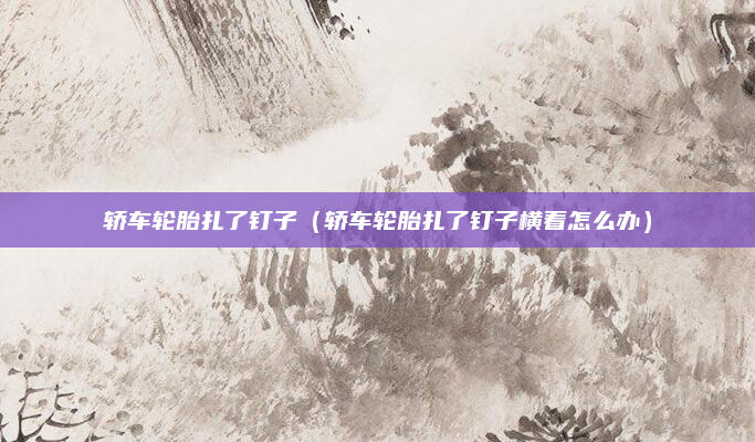 轿车轮胎扎了钉子（轿车轮胎扎了钉子横着怎么办）