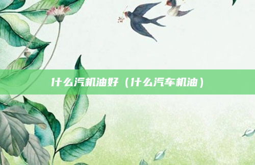 什么汽机油好(什么汽车机油)