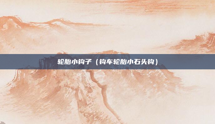 轮胎小钩子（钩车轮胎小石头钩）