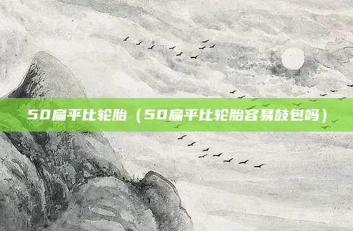 50扁平比轮胎（50扁平比轮胎容易鼓包吗）