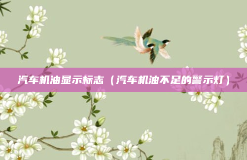 汽车机油显示标志（汽车机油不足的警示灯）
