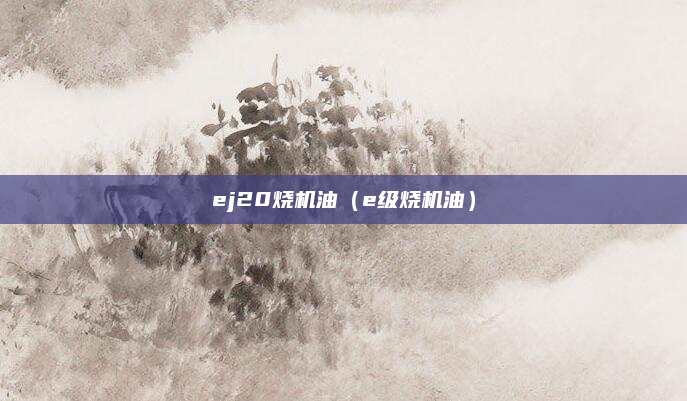 ej20烧机油（e级烧机油）