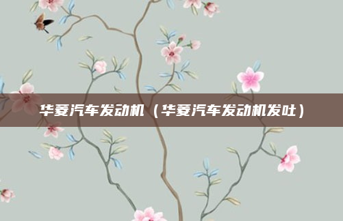华菱汽车发动机(华菱汽车发动机发吐)