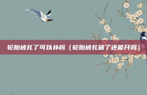 轮胎被扎了可以补吗（轮胎被扎破了还能开吗）