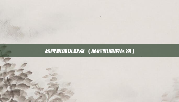 品牌机油优缺点（品牌机油的区别）