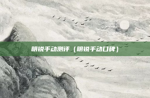 明锐手动测评(明锐手动口碑)
