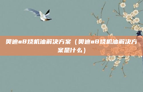 奥迪a8烧机油解决方案（奥迪a8烧机油解决方案是什么）