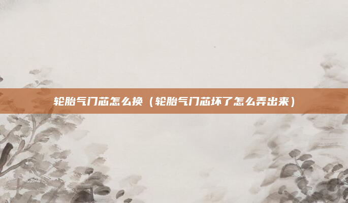 轮胎气门芯怎么换（轮胎气门芯坏了怎么弄出来）