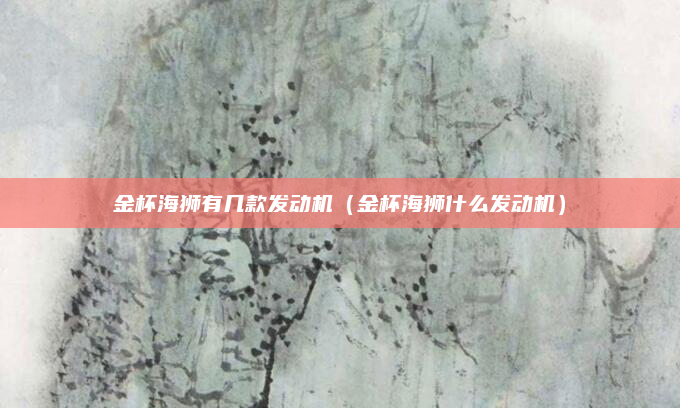 金杯海狮有几款发动机（金杯海狮什么发动机）