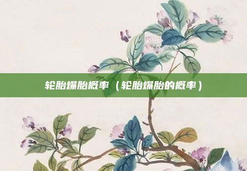 轮胎爆胎概率(轮胎爆胎的概率)