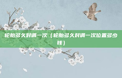 轮胎多久对调一次（轮胎多久对调一次位置多少钱）