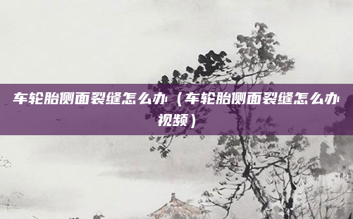 车轮胎侧面裂缝怎么办（车轮胎侧面裂缝怎么办视频）