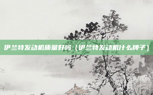 伊兰特发动机质量好吗（伊兰特发动机什么牌子）