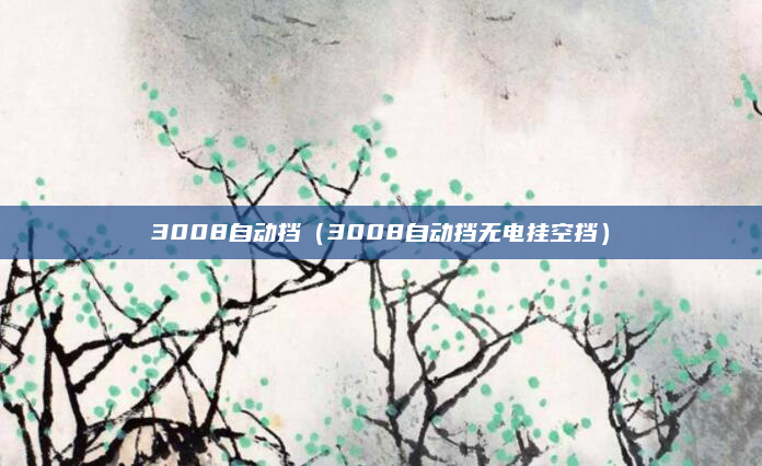 3008自动挡(3008自动挡无电挂空挡)