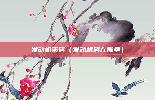 发动机密码（发动机码在哪里）