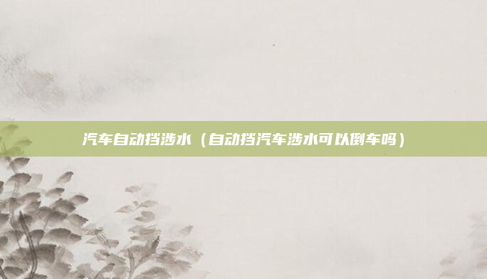汽车自动挡涉水(自动挡汽车涉水可以倒车吗)
