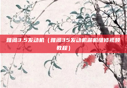 雅阁3.5发动机（雅阁35发动机漏机维修视频教程）