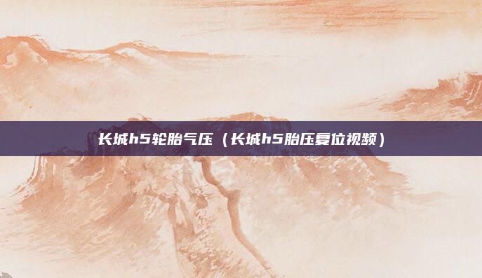 长城h5轮胎气压（长城h5胎压复位视频）