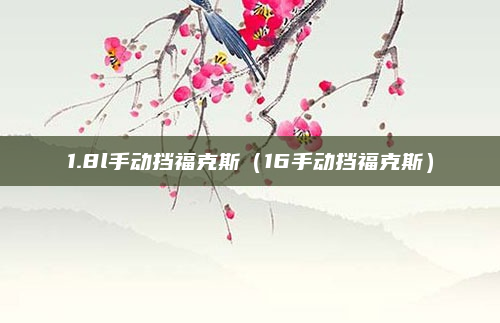1.8l手动挡福克斯（16手动挡福克斯）