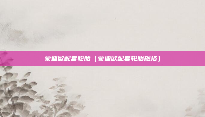 蒙迪欧配套轮胎（蒙迪欧配套轮胎规格）