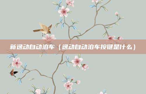 新逸动自动泊车（逸动自动泊车按键是什么）