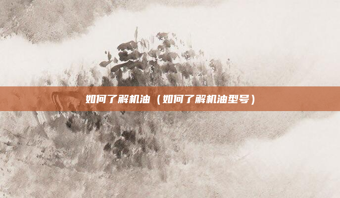 如何了解机油（如何了解机油型号）