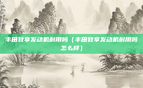 丰田致享发动机耐用吗（丰田致享发动机耐用吗怎么样）