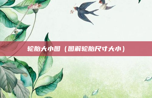轮胎大小图(图解轮胎尺寸大小)