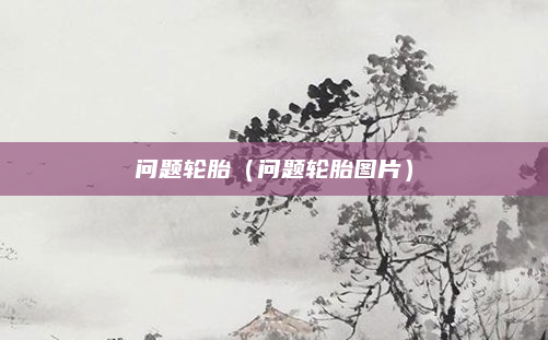 问题轮胎（问题轮胎图片）