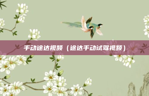手动途达视频(途达手动试驾视频)