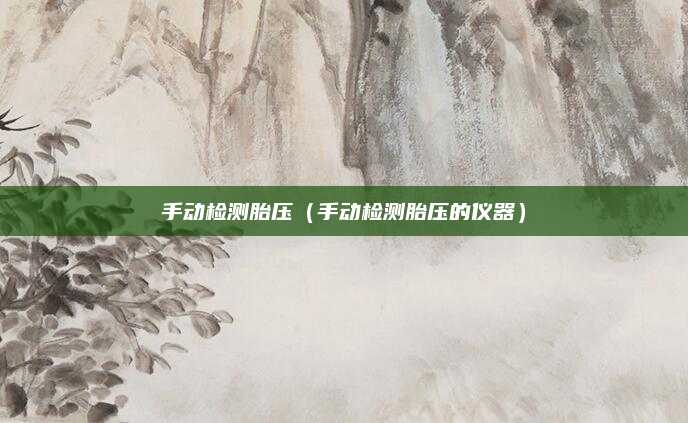 手动检测胎压(手动检测胎压的仪器)