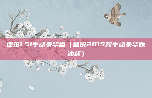 速锐1.5l手动豪华型（速锐2015款手动豪华版油耗）