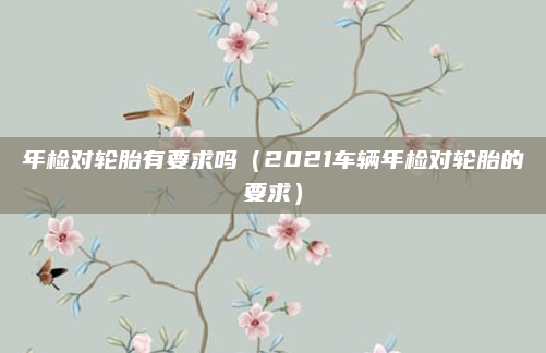 年检对轮胎有要求吗（2021车辆年检对轮胎的要求）