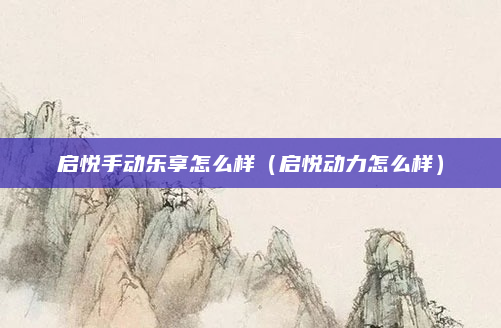 启悦手动乐享怎么样（启悦动力怎么样）
