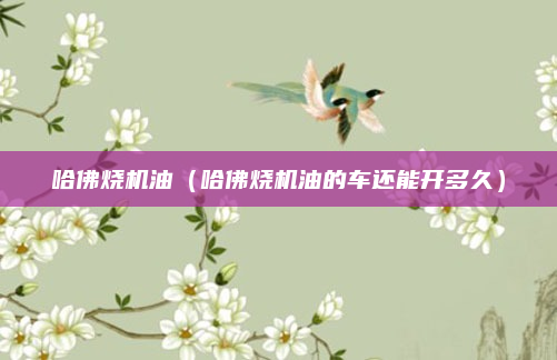 哈佛烧机油（哈佛烧机油的车还能开多久）