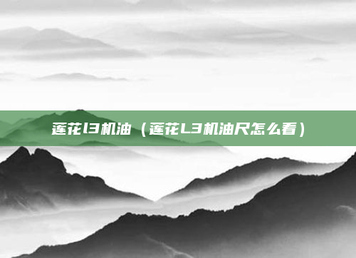莲花l3机油（莲花L3机油尺怎么看）