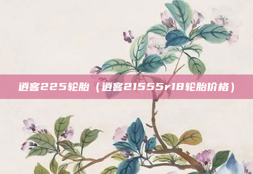 逍客225轮胎（逍客21555r18轮胎价格）
