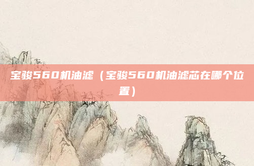 宝骏560机油滤(宝骏560机油滤芯在哪个位置)